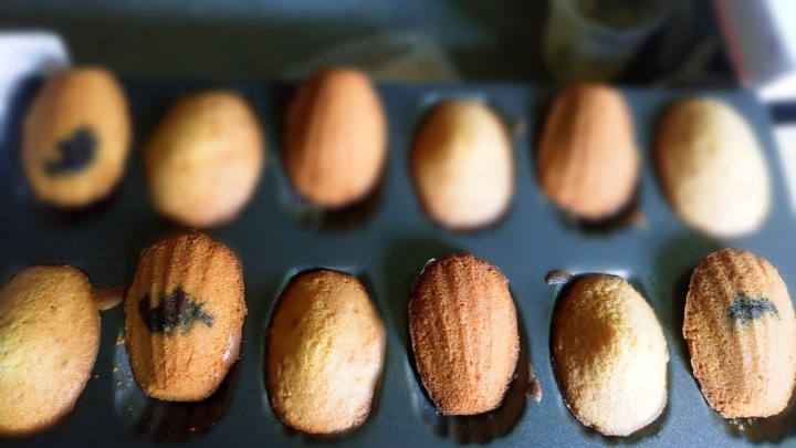 Who can resist madeleines, warm from the oven!